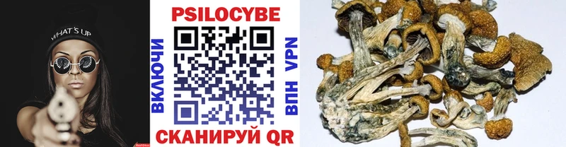 Галлюциногенные грибы ЛСД  Кодинск 